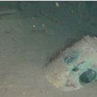 La lanterne dépassant du sédiment, vue sous-marine de 2013 (Cliché du ROV Copetech © DRASSM)