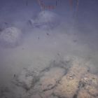Lingots d'étain et amphores in situ, campagne de 2014 (Cliché de la vidéo du ROV © DRASSM)