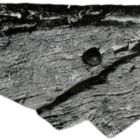 Vue d'une varangue percée d'un trou circulaire et, au-dessous, d'une entaille pour l'écoulement de l'eau (d'après Benoit 1961, p. 128)