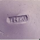 Marque THALI sur un fond de sigillée arétine (© Archives Drassm)