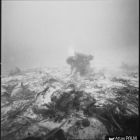 Vue sous-marine d'un plongeur dévasant une amphore in situ, campagne de fouille 1979 (© Archives DRASSM)