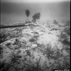 Vue sous-marine d'un plongeur installant la suceuse à eau, campagne de fouille de 1979 (© Archives DRASSM)