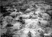 Vue sous-marine du site en 1979 (© Archives DRASSM)
 