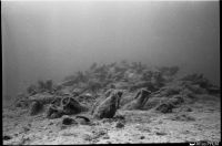 Vue sous-marine du tumulus d'amphores à sa découverte (Cliché Y. Chevalier © Y. Chevalier/DRASSM)