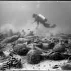 Vue sous-marine d'un plongeur effectuant des mesures (Cliché Y. Chevalier © Y. Chevalier/DRASSM)