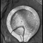 Vue de dessus d'un pelvis (Cliché A. Tchernia © A. Tchernia/CCJ-CNRS)