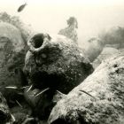 Les amphores du tumulus in situ (© Y. Chevalier/DRASSM)