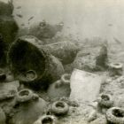 Amphores du niveau inférieur affleurant en surface (© Y. Chevalier/DRASSM)
