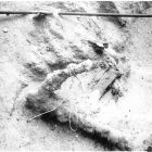Ancre en fer in situ (d'après Santamaria 1995, p. 28, fig. 10)