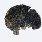 Bouchon de liège d’amphore étrusque (Cliché C. Durand, CCJ-CNRS © CCJ-CNRS)