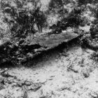 Varangue in situ lors de sa découverte (© Archives Drassm)