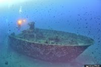 Vue sous-marine de la proue de l'Insuma (© Corse Images Sous-Marines)