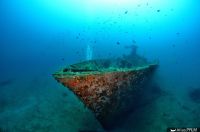 Proue de l'Insuma lors d'une plongée en août 2017 (© Corse Images Sous-Marines)