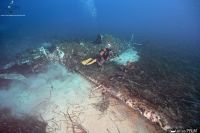 L'épave "reconsituée" du P-47 de Santa Severa observée par les membres de Corse Images Sous-Marines lors d'une plongée en novembre 2023 (© Corse Images Sous-Marines)