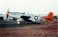 Avion P-51D, Red Tails des Tuskegee Airmen, reconnaissable grâce à son empennage rouge caractéristique (Source : https://www.nationalmuseum.af.mil/Upcoming/Photos/igphoto/2000487449/ © National museum of USAF)