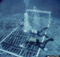 Vue sous-marine des plongeurs effectuant le relevé de la coque (Cliché J.-C. Negrel, © J.-C. Negrel / DRASSM)