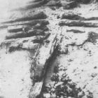 La quille et les membrures de l'épave (Cliché Ph. Taillez, d'après Benoit 1971, fig. 9 © Ph. Taillez)