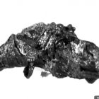 Tête de mule bachique en bronze (probablement une poignée d’un couteau) (Cliché P. Foliot-CCJ-CNRS © CCJ-CNRS)