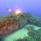 Vue sous-marine depuis l'arrière du P-47 (Source : https://www.corse-images-sous-marines.com/copie-de-corse-les-epaves-d-avions © Corse Images Sous-Marines)