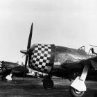 Profil de P-47 avec mitrailleuses (Source : https://www.museeairespace.fr/aller-plus-haut/collections/republic-p-47d-thunderbolt/ © Republic Aviation Corporation  / Coll. Musée de l’Air et de l’Espace)