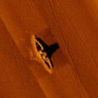 Image sonar de l'épave prise par l'AUV entourée de sillons dus aux passages des chalutiers, campagne de 2014 (© DRASSM)