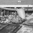 Amphores et céramiques remontées sur le pont du bateau de fouilles (© Archives Drassm)