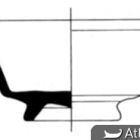 Céramique à vernis noir Campanienne B, forme Lamboglia 2, dessin (éch. 1 : 2) (Dessin M. Rival-CCJ-CNRS © CCJ-CNRS)