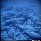 Vue sous-marine des amphores in situ à la découverte du site (Cliché Y. Chevalier © Y. Chevalier/DRASSM)