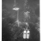 Vue sous-marine de trois plongeurs effectuant des relevés et mesures topographiques (Cliché Y. Chevalier © Y. Chevalier/DRASSM)