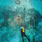 Vue sous-marine de l'épave, campagne de 2010 (© T. Seguin/DRASSM)