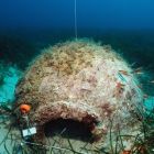 Vue sous-marine de dolium, campagne de 2010 (© T. Seguin/DRASSM)