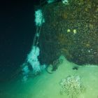 Vue de la proue du navire avec son ancre presque enfouie dans le sédiment (Cliché de la vidéo du ROV © DRASSM)