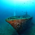 Proue de l'Insuma lors d'une plongée en août 2017 (© Corse Images Sous-Marines)