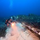 Sur l'aile du P-47 de Santa Severa les mitrailleuses sont bien visibles (© Corse Images Sous-Marines)