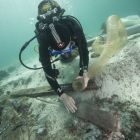 Fouille de la zone avant de l’épave de Paragan 1 dans laquelle se trouve du mobilier pendant la campagne de fouilles 2018 (©Lionel Roux - CNRS-CCJ)