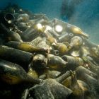 Accumulation de bouteilles sur la partie avant fouillée en 2008 (©Christine Durand - LA3M/CNRS)