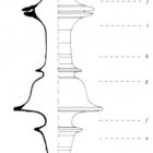 Dessin de reconstitution d'un pied de lit (Dessin C. Baudoin © CCJ-CNRS)