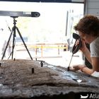 Relevé 3D d'un des flancs de l'épave démonté par Sabrina Marlier (MdAa), archéologue navale.  (Cliché L. Roux © O'Can-Ipso Facto, Mdaa/CG13)