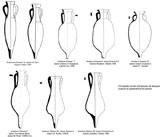 Amphores bétiques pour les produits dérivés du poisson