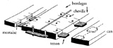 Schéma assemblage tenons et mortaises : Dessin Rival, CCJ/CNRS, tiré de Pomey P. (dir.), Gianfrotta P. A., Nieto X. et Tchernia A. 1997, La Navigation dans l’Antiquité, éditions édisud, Aix-en-Provence